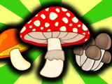 Mushroom Merge: Secrets of the Forest Mushroom Merge: Secrets of the Forest