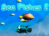 Sea Fishes 2 Sea Fishes 2