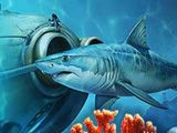 The Shark Diver The Shark Diver