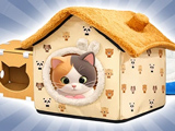 Merge and Save: Cat Shelter!