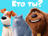 Quiz: Which "Secret Life of Pets" Character are You?