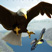 Angry Birds Rio Game - Play Online on 8Games